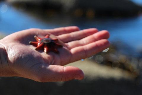 Blu-Sea 365 - Events Australia 26