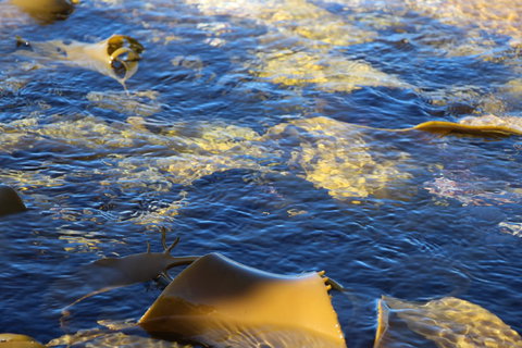 Blu-Sea 365 - Events Australia 28