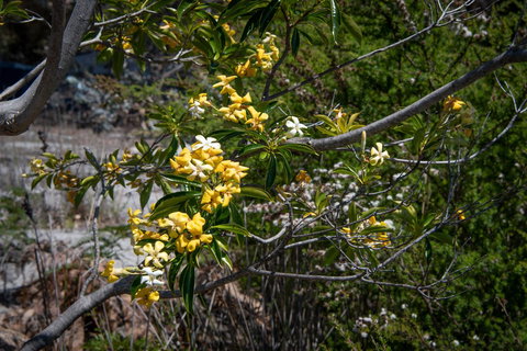 Blu-Sea 365 - Events Australia 8