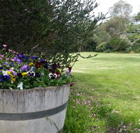 Padthaway Caravan Park - Events Australia