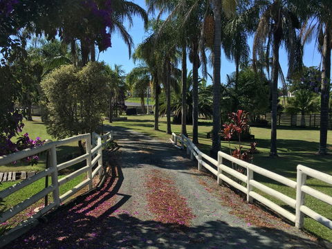 Palms Oasis Motel - Tourism Bookings 3