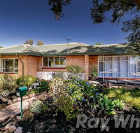 pasadena quinlan - Events Australia