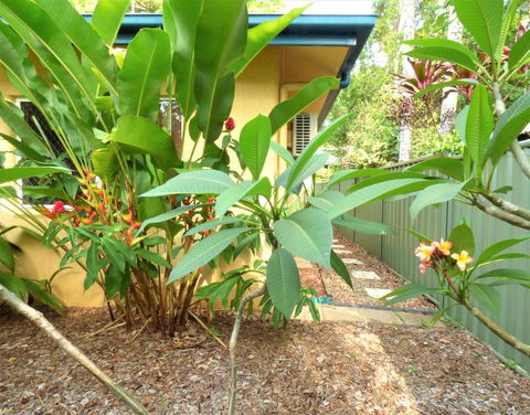 Rainforest Cottage Cairns - Tourism Bookings 0