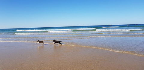 Red Door Beach House - Marcoola Beach - PET FRIENDLY, FOXTEL, WIFI, 500 BOND, Linen Supplied - Tourism Bookings 1