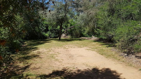 Riverview Caravan Park - Tourism Bookings 3