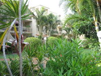 Book North Coast Accommodation Vacations Events Australia Events Australia