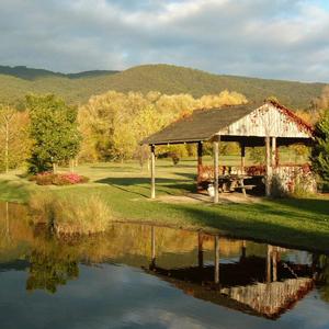 Sanctuary Park Cottages - Accommodation Europe 3