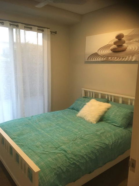 Seashells On Park Beach - Events Australia 1