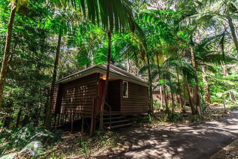 Songbirds Rainforest Retreat - Accommodation Europe 2