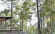 Southern Forest Escape Pemberton - thumb 1