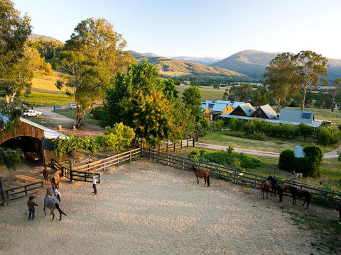 Spring Spur - Tourism Bookings 3