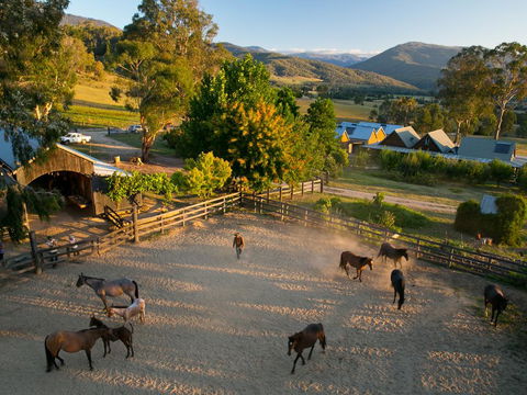 Spring Spur - Tourism Bookings 0