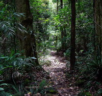 Springbrook Lyrebird Retreat - Events Australia