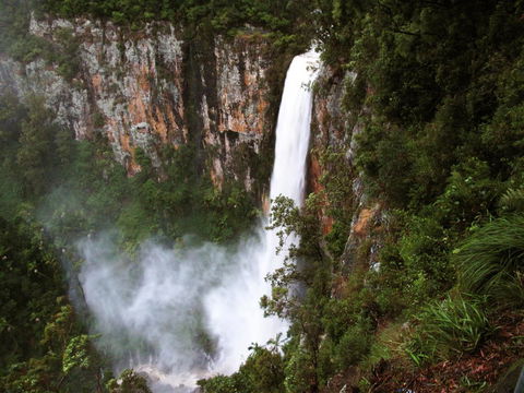 Springbrook Lyrebird Retreat - Events Australia 2