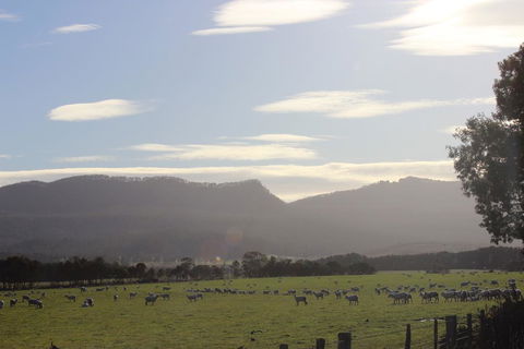 St Marys Hotel And Bistro - Tourism Bookings 3