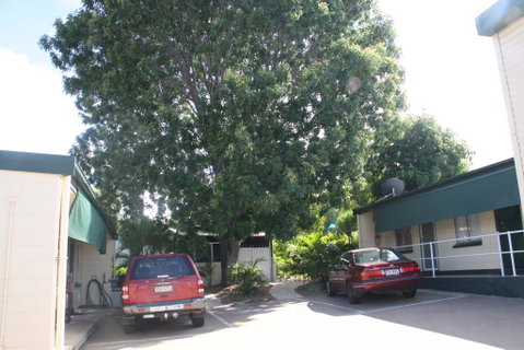 Star Inn Accommodation - Tourism Bookings 3