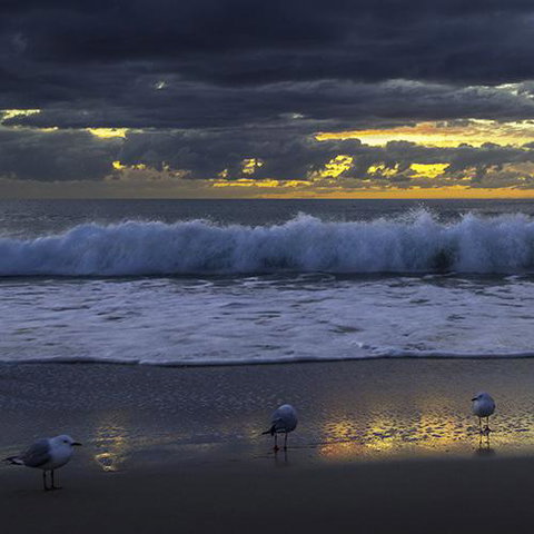 Surfers Horizons - Events Australia 3