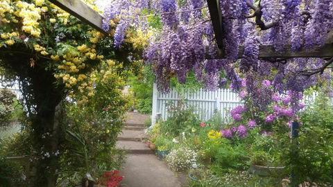 Birch Lane - Accommodation Europe 20