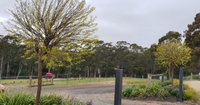 Book Lebrina Accommodation Vacations Events Australia Events Australia