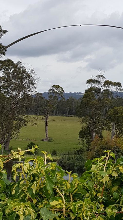 Hazelcreek Cottages - Tourism Bookings 34