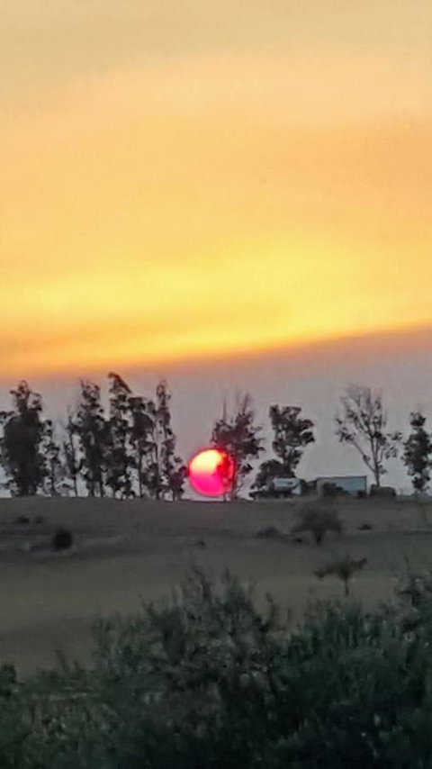 Hazelcreek Cottages - Tourism Bookings 31