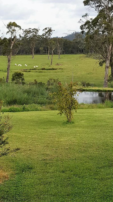 Hazelcreek Cottages - Tourism Bookings 7