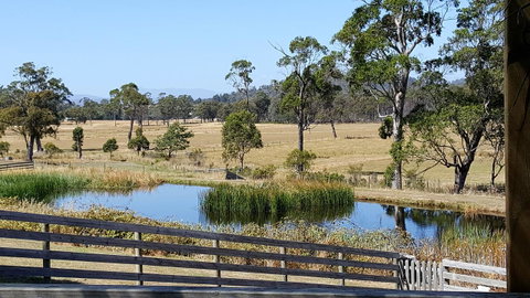 Hazelcreek Cottages - Tourism Bookings 2