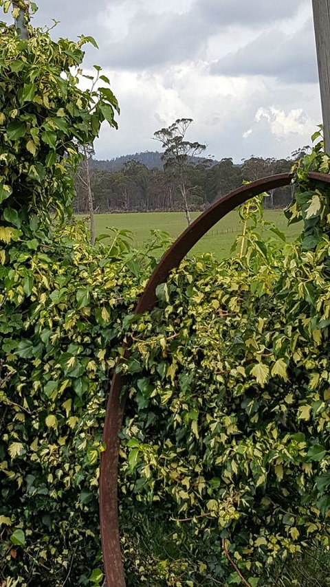 Hazelcreek Cottages - Tourism Bookings 36