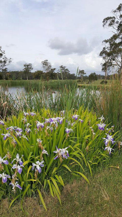 Hazelcreek Cottages - Tourism Bookings 1