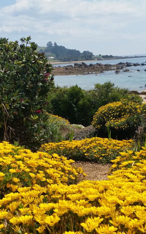 Penguin Beach House - Events Australia 18