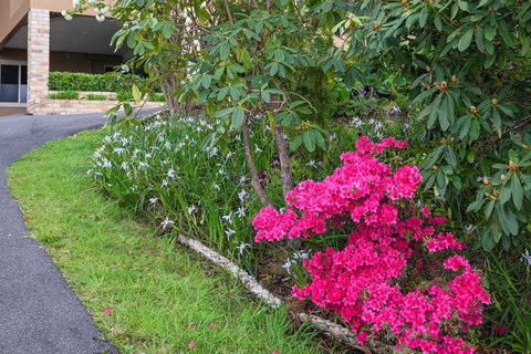 Maria Views Bed & Breakfast - Tourism Bookings 2