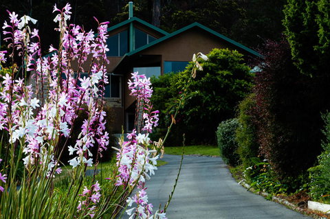 Maria Views Bed & Breakfast - Tourism Bookings 6