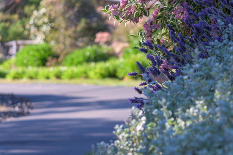 Maria Views Bed & Breakfast - Tourism Bookings 3