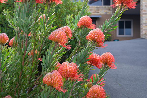 Maria Views Bed & Breakfast - Tourism Bookings 1