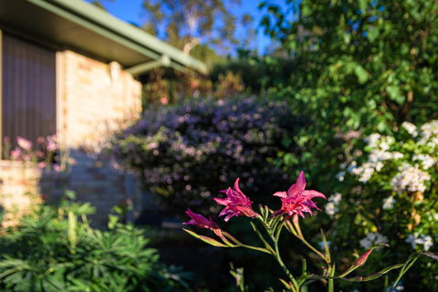 Maria Views Bed & Breakfast - Tourism Bookings 4