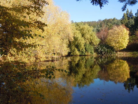 Whispering Spirit Holiday Cottages & Mini Ponies - Events Australia 7