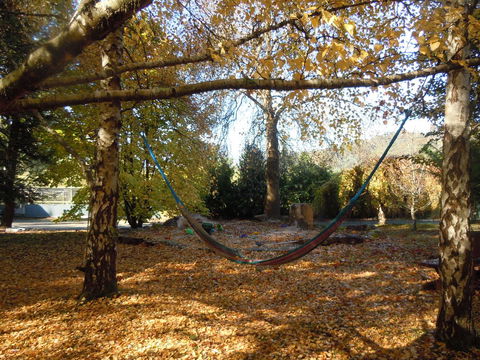 Whispering Spirit Holiday Cottages & Mini Ponies - Events Australia 5