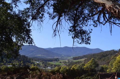 Whispering Spirit Holiday Cottages & Mini Ponies - Events Australia 14