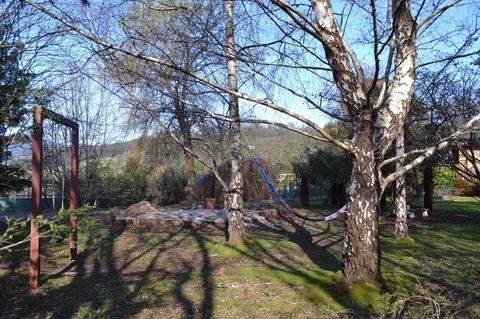 Whispering Spirit Holiday Cottages & Mini Ponies - Events Australia 11