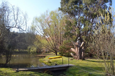 Whispering Spirit Holiday Cottages & Mini Ponies - Events Australia 12