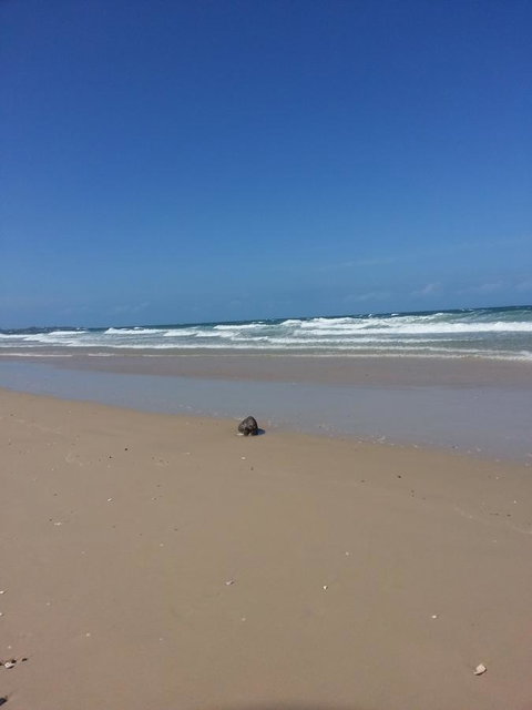 Tidelines Of Bicheno - Events Australia 12