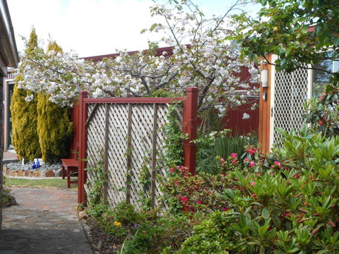 Tidelines Of Bicheno - Events Australia 10