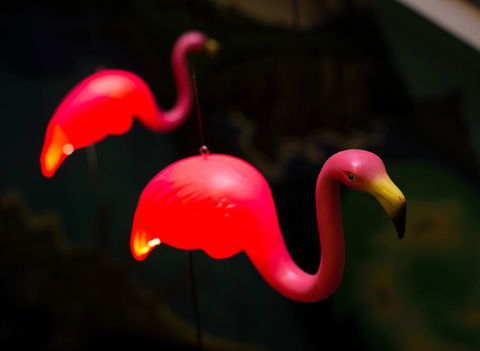 Alabama Hotel Hobart - Events Australia 42