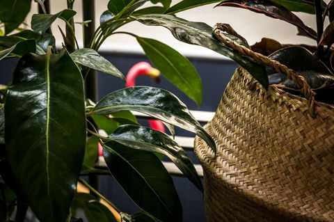 Alabama Hotel Hobart - Events Australia 25