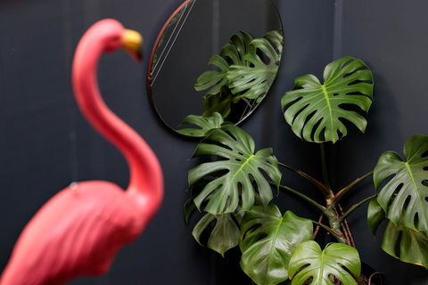 Alabama Hotel Hobart - Events Australia 15