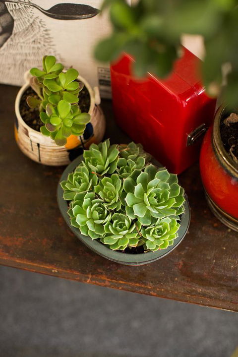 Alabama Hotel Hobart - Events Australia 39