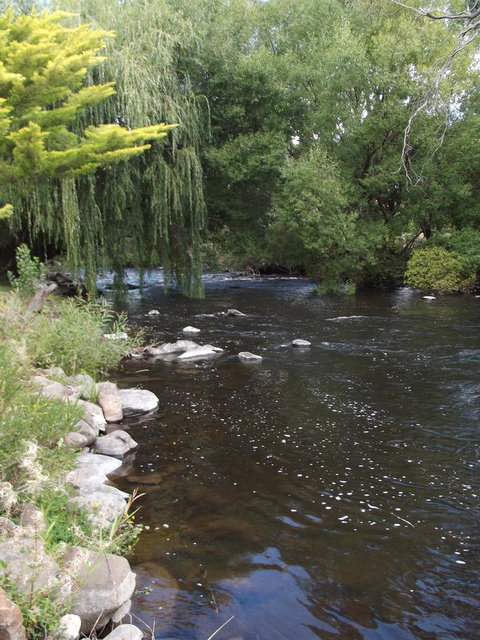Blue Wren Riverside Cottage - Events Australia 7