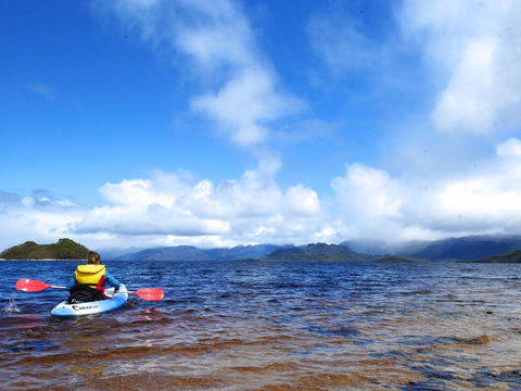 Pedder Wilderness Lodge - Tourism Bookings 11