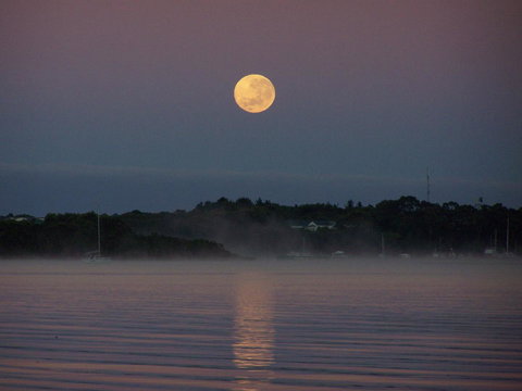 Regatta Point Tavern & Holiday Villas - Accommodation Europe 39