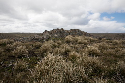 Arthur Riverfront And Sea Lodge Downstream - Events Australia 34